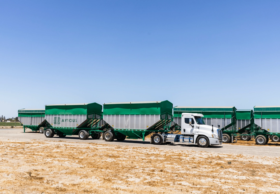 Reliable Shipping & Global Delivery